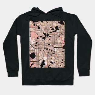 Orlando Map Pattern in Soft Pink Pastels Hoodie